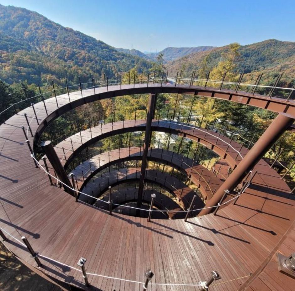 thumbnail-놀자숲-18