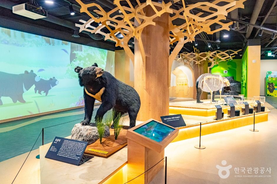 지리산 반달가슴곰 공존센터