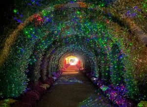 피나클랜드수목원10