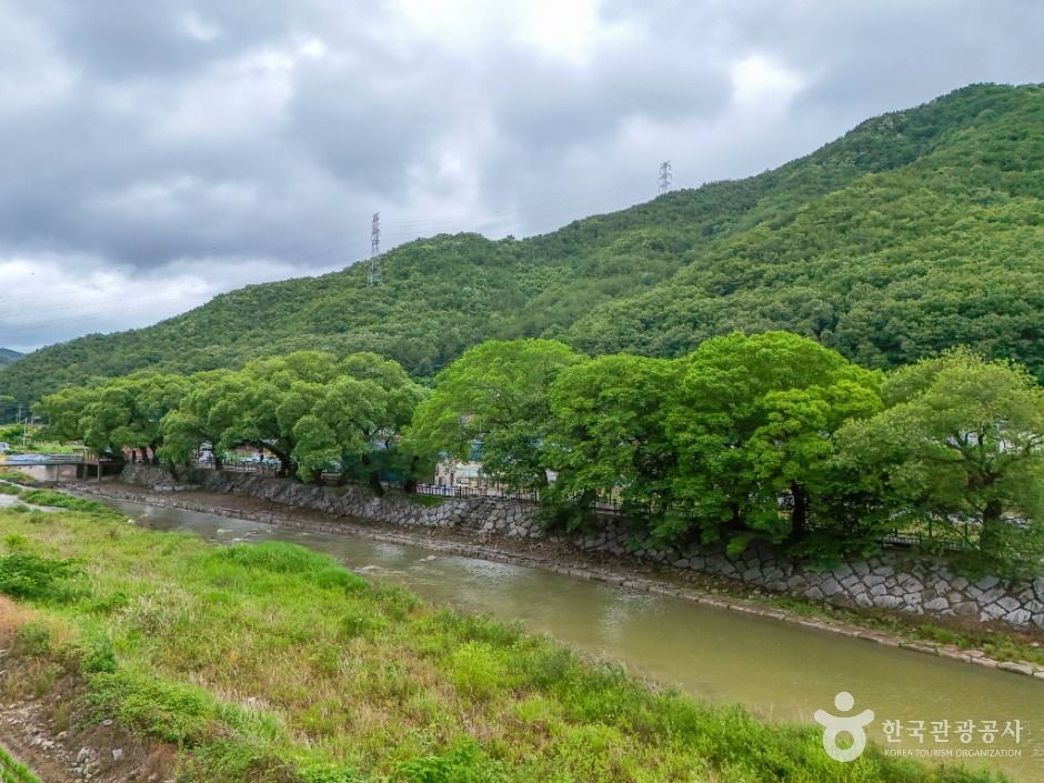 창원_거락계곡 (1)