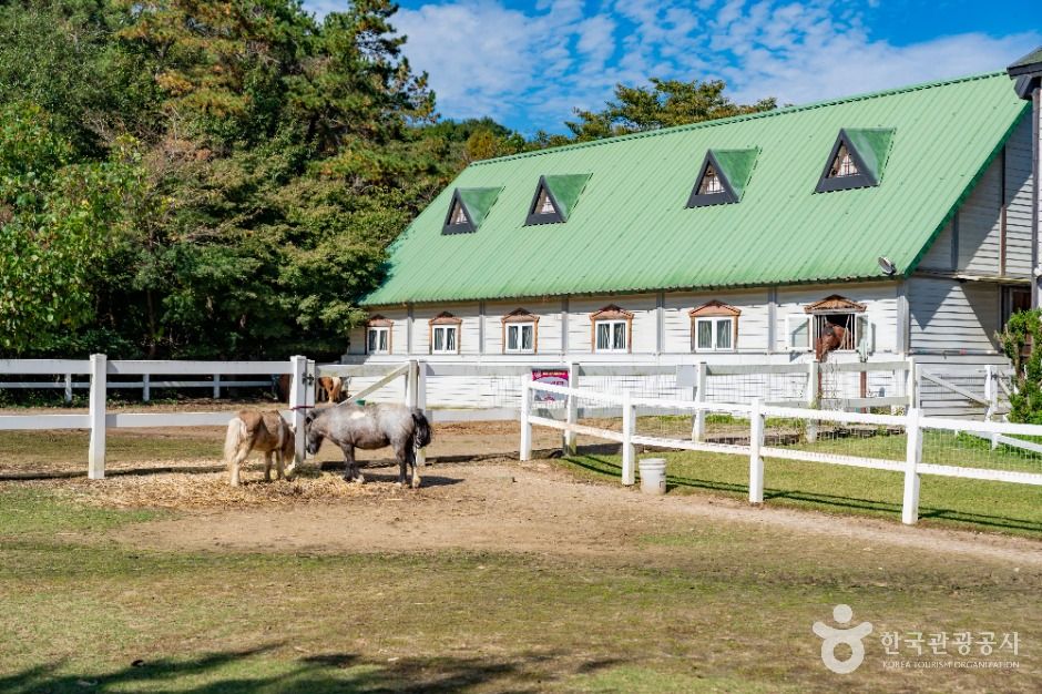 화성_드림아트스페이스 (5)