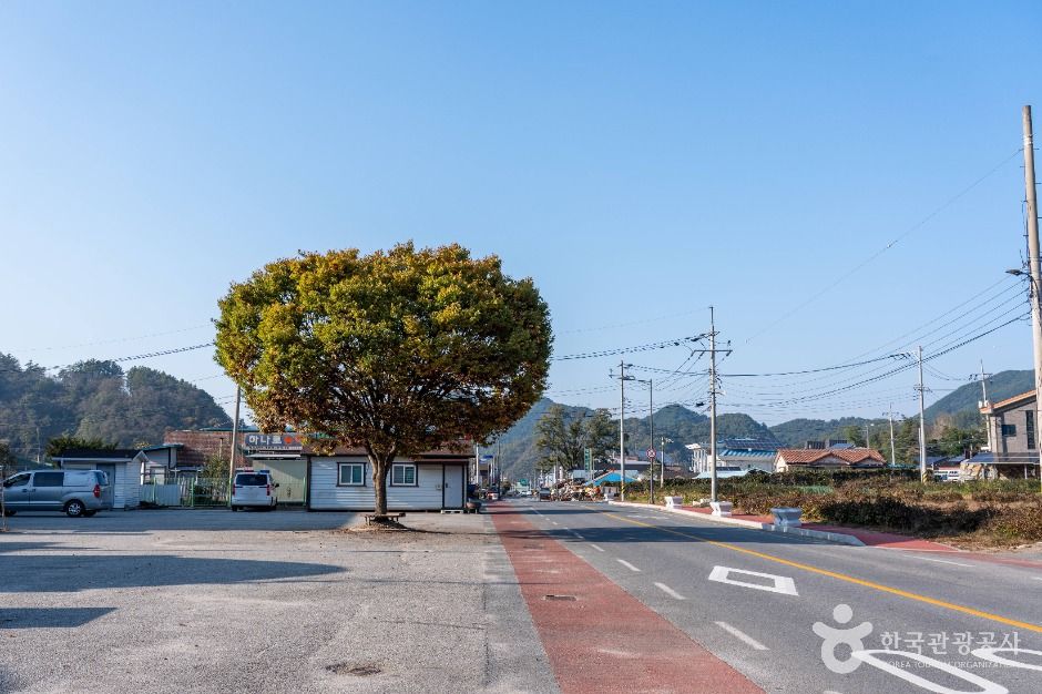 월악산 약초마을