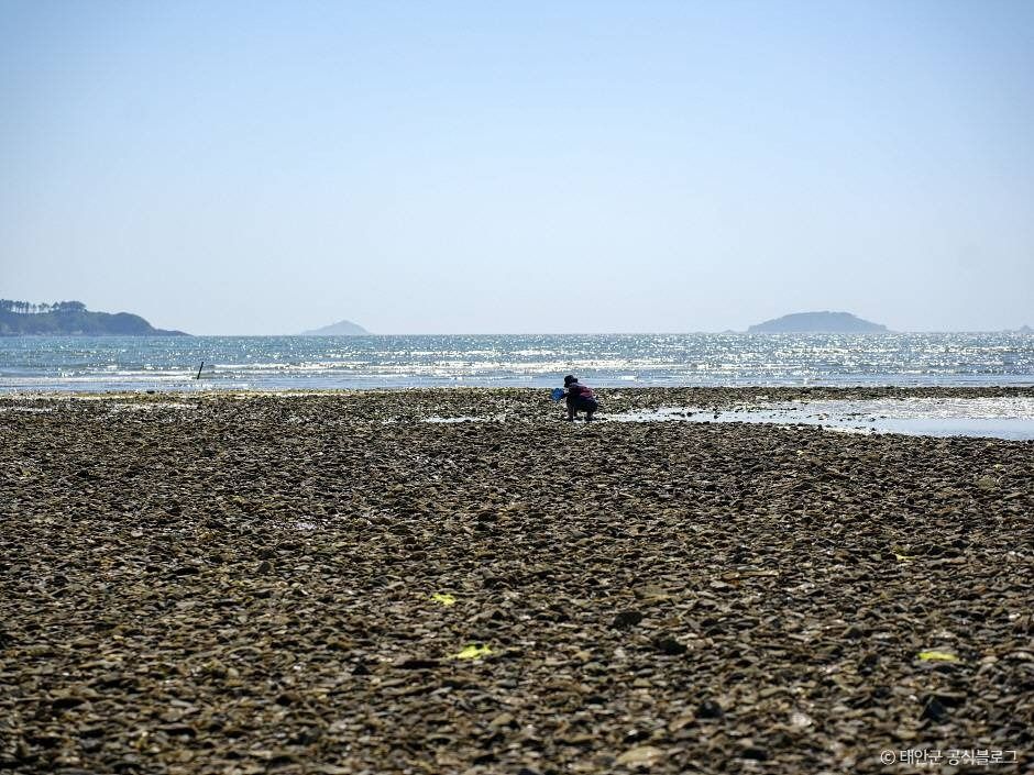 병술만어촌체험마을