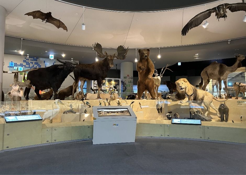 상주_국립낙동강생물자원관 (10)