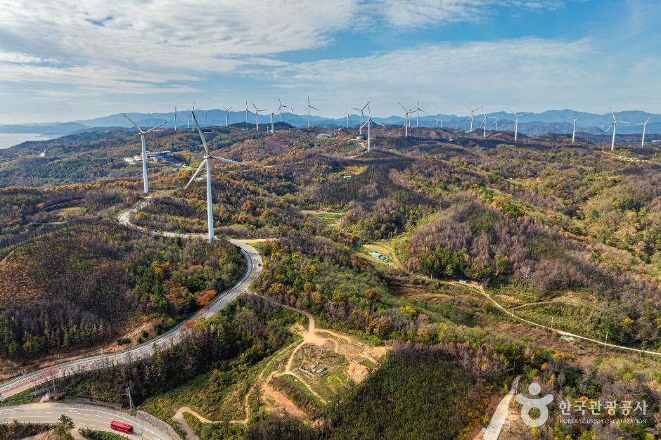 영덕 해안도로 드라이브