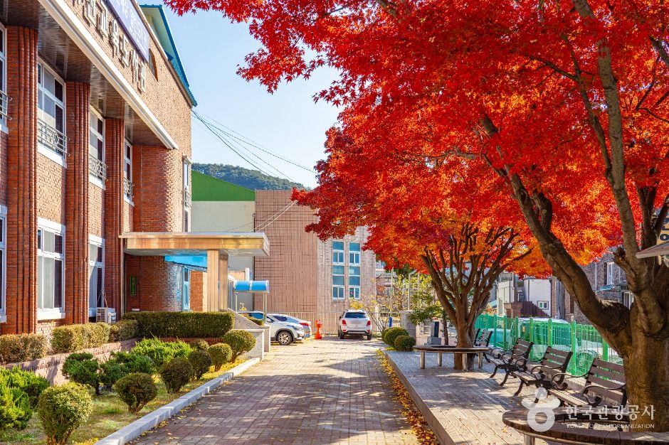 화천교육도서관