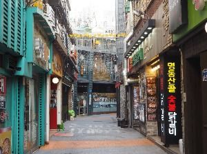 춘천_명동닭갈비골목 (4)