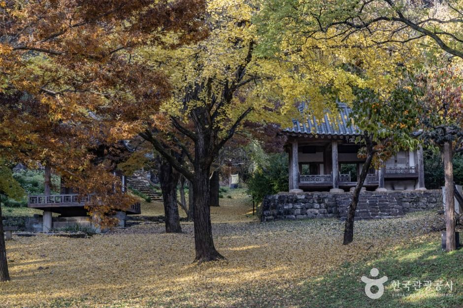 시가문화유적지