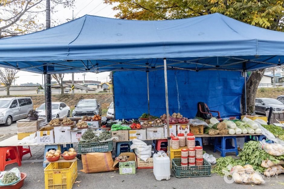 담양_담양 대치장(3, 8일) (2)