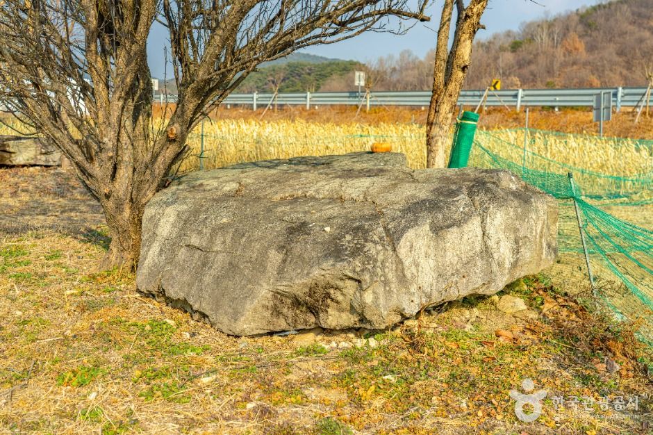 산청특리지석묘군