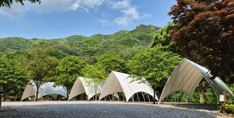 thumbnail-덕동골캠핑장-4