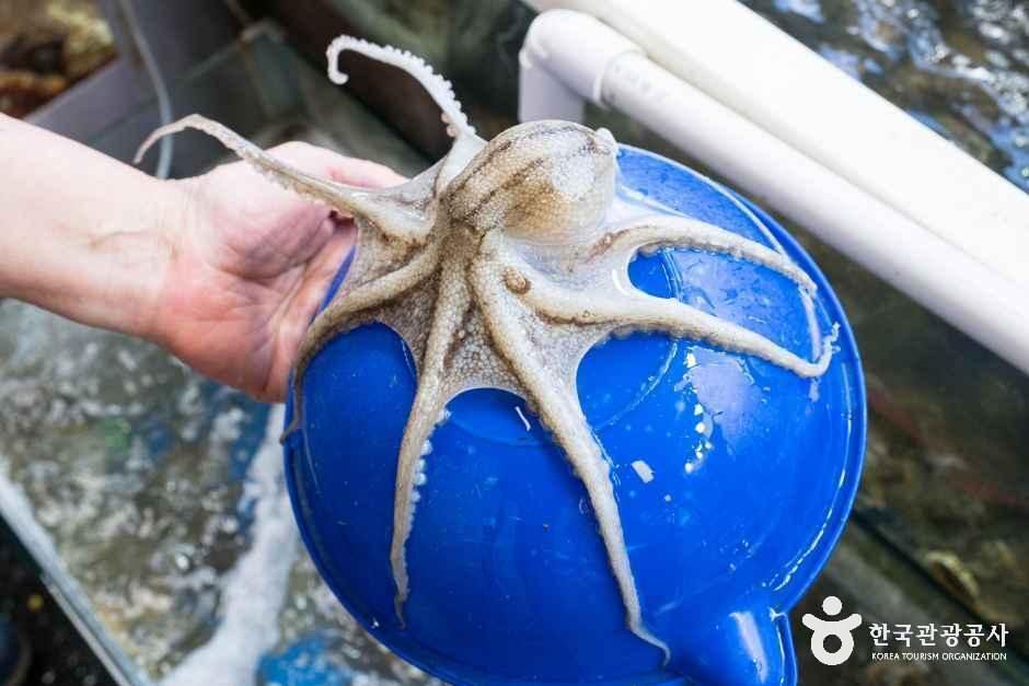 thumbnail-남당항-11