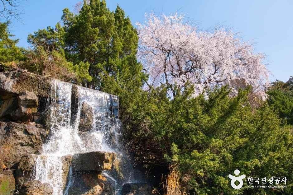 thumbnail-벽초지수목원-14