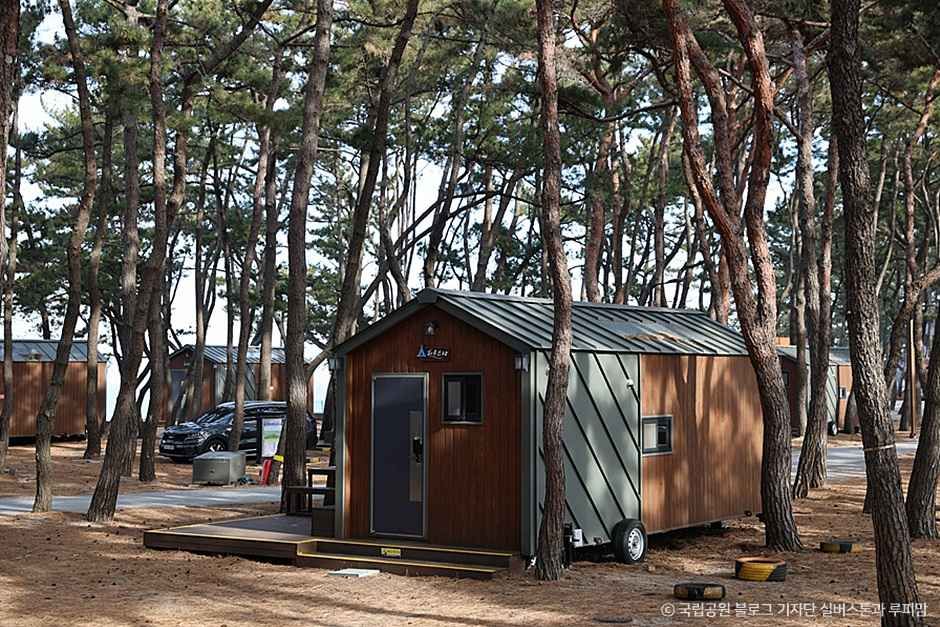 thumbnail-고사포야영장-4