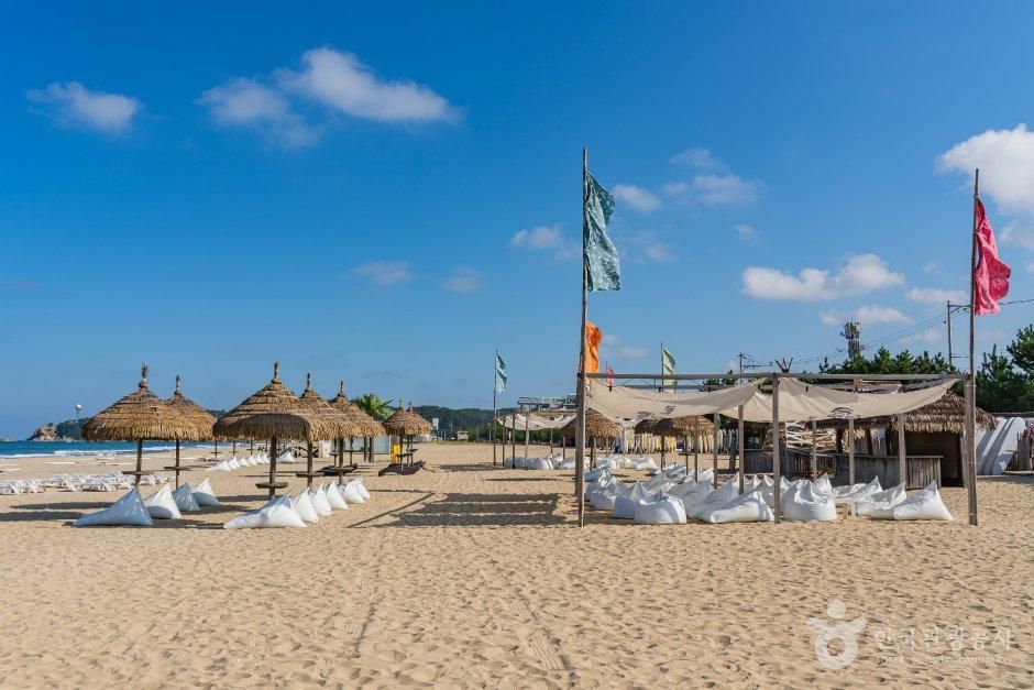 thumbnail-서피비치-18