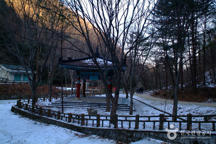 Gugok Falls (구곡폭포)