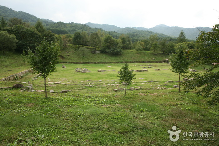 Jungwon Mireungni Temple Site (중원미륵리사지)