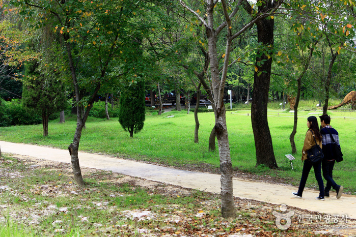 Mulhyanggi Arboretum (물향기수목원)