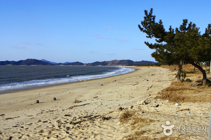 Jeungdo Island [A Slow City](증도)
