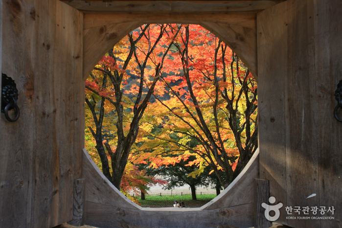 Baegyangsa Temple (고불총림 백양사)