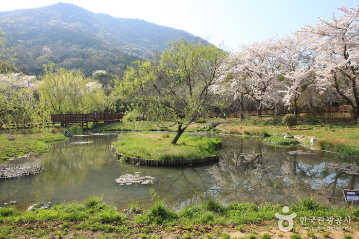 thumbnail-Jinhae NFRDI Environment Eco-Park (진해내수면 환경생태공원)-16