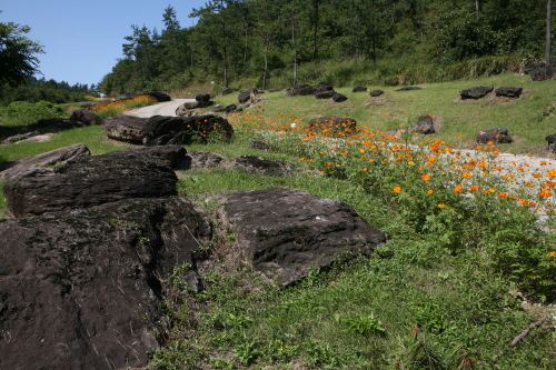 Hwasun Dolmen Site [UNESCO World Heritage] (화순 고인돌군 유적)