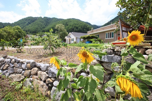 thumbnail-Samcheok Deokpunggyegok Valley Village (삼척 덕풍계곡마을)-0