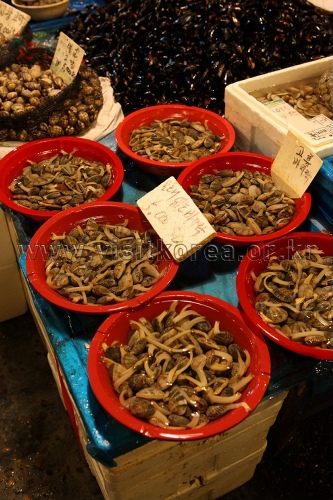 Noryangjin Fisheries Wholesale Market (노량진수산시장)