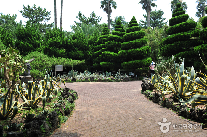 Hallim Park (한림공원)