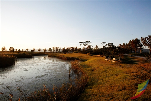Julpo Ecological Park (줄포자연생태공원)