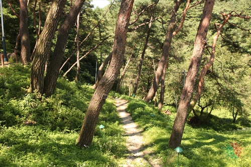 Uirimji Reservoir (제천 의림지와 제림)