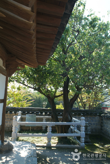Ojukheon House (오죽헌)