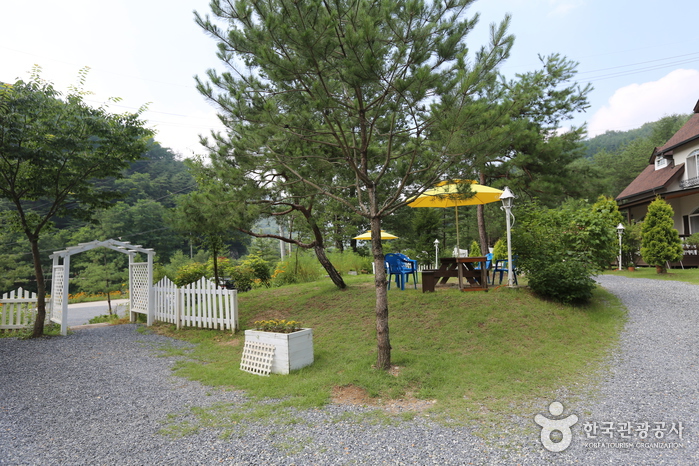 올리브그린펜션1