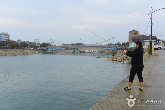 당진 도비도항2