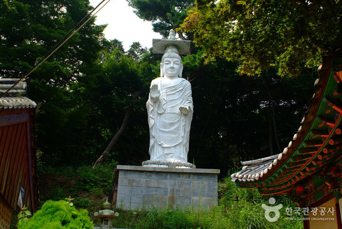 Yonggungsa Temple (Incheon) (용궁사 - 인천)