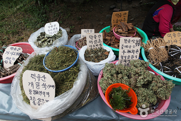 금강자연약초 이미지