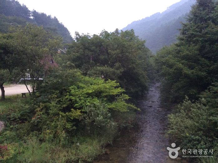 Gwangchi Recreational Forest (광치자연휴양림)