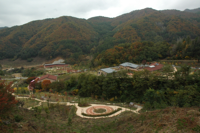 国立山林治療院（국립산림치유원）4