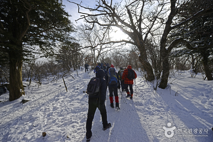 눈 덮인 산길을 오르는 산객들