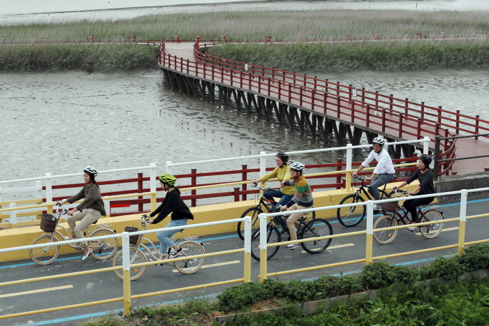 강진만 춤추는 갈대축제1