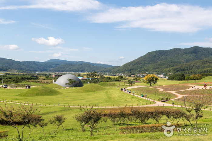 의성 금성산 고분군0