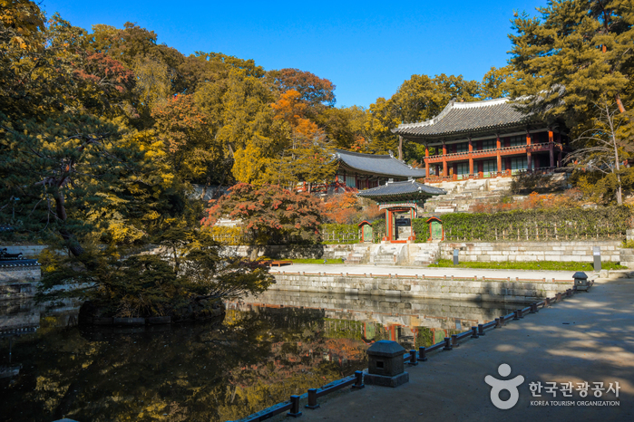 Palast Changdeokgung und Garten Huwon [UNESCO Weltkulturerbe] (창덕궁과 후원 [유네스코 세계문화유산])