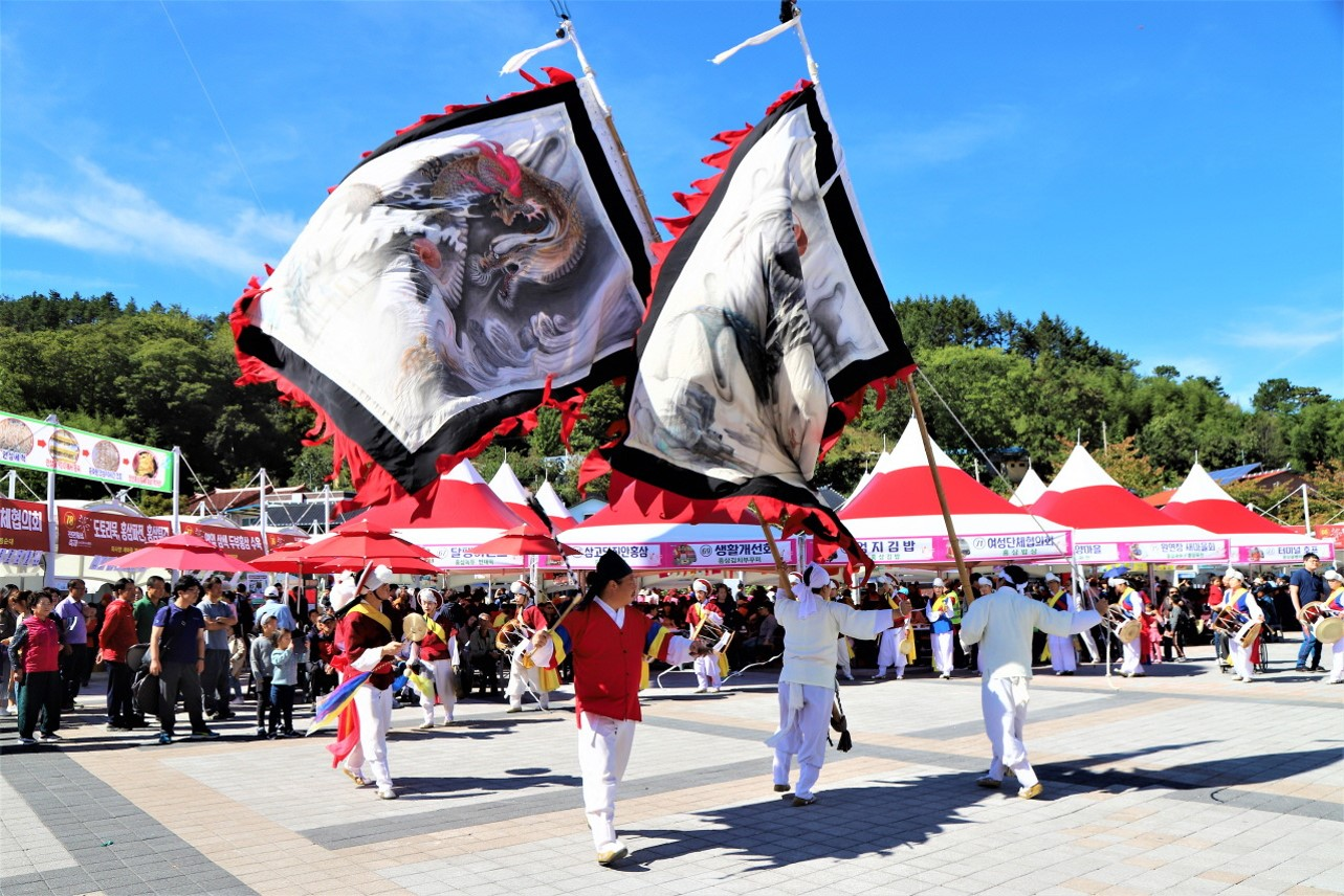 鎮安紅蔘節(진안 홍삼축제)5