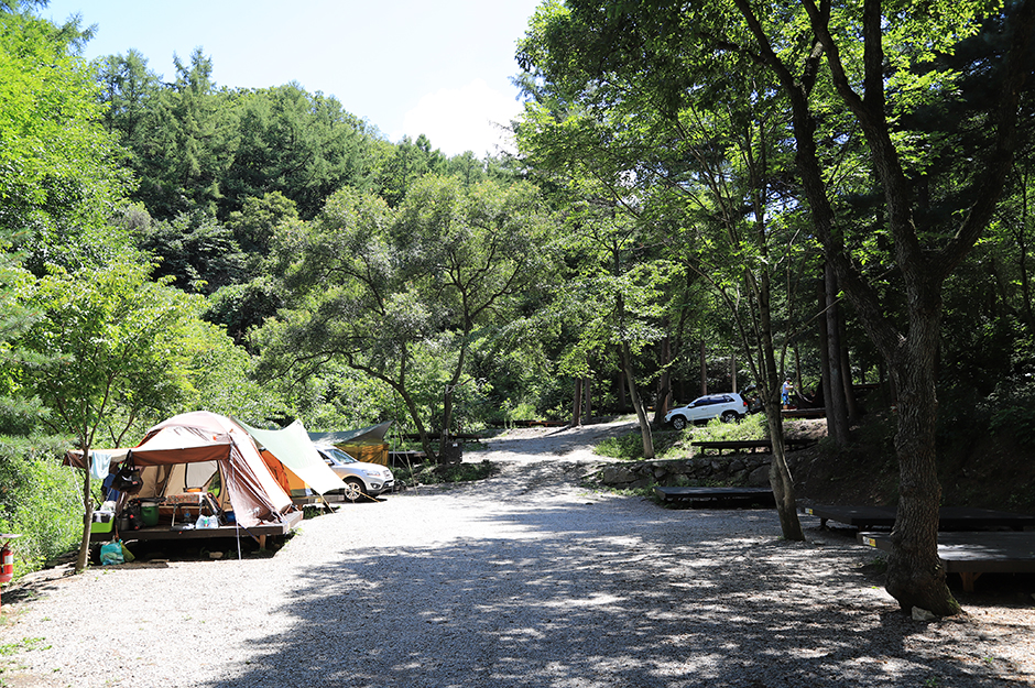 중미산 자연휴양림1