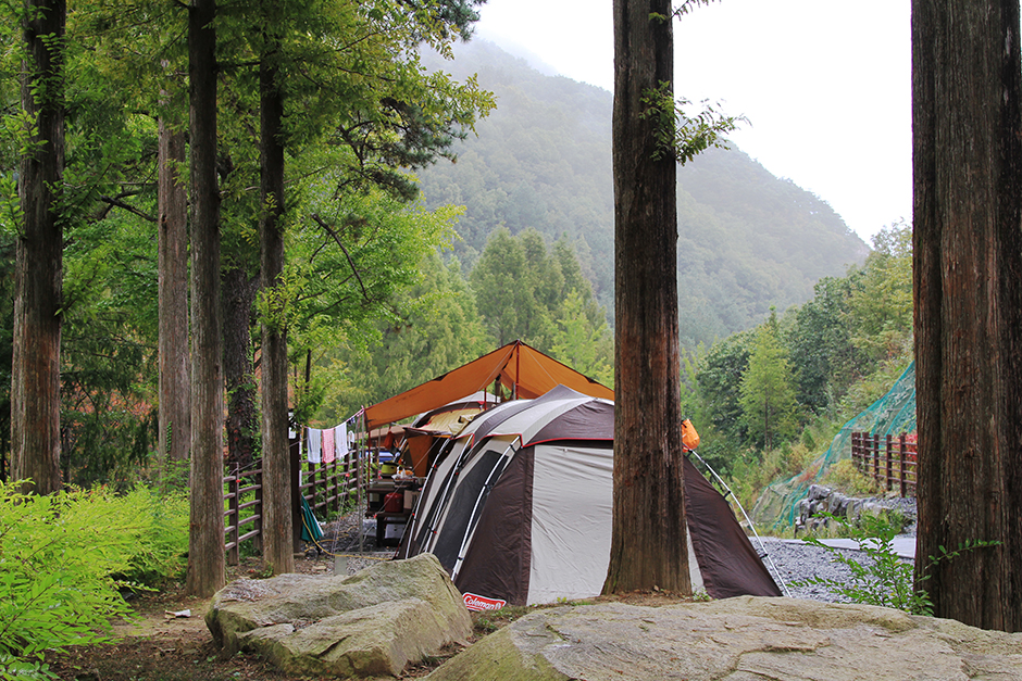 장태산 자연휴양림 캠핑장