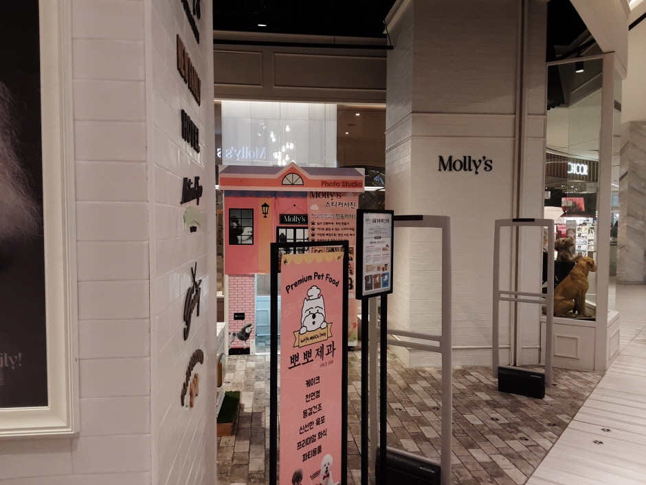 [事后免税店]Molly's新世界Centum店(몰리스 신세계센텀)