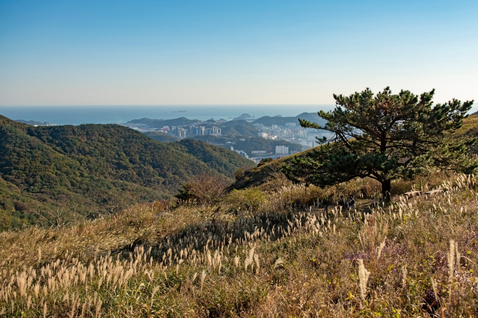 Seunghaksan Mountain (승학산)