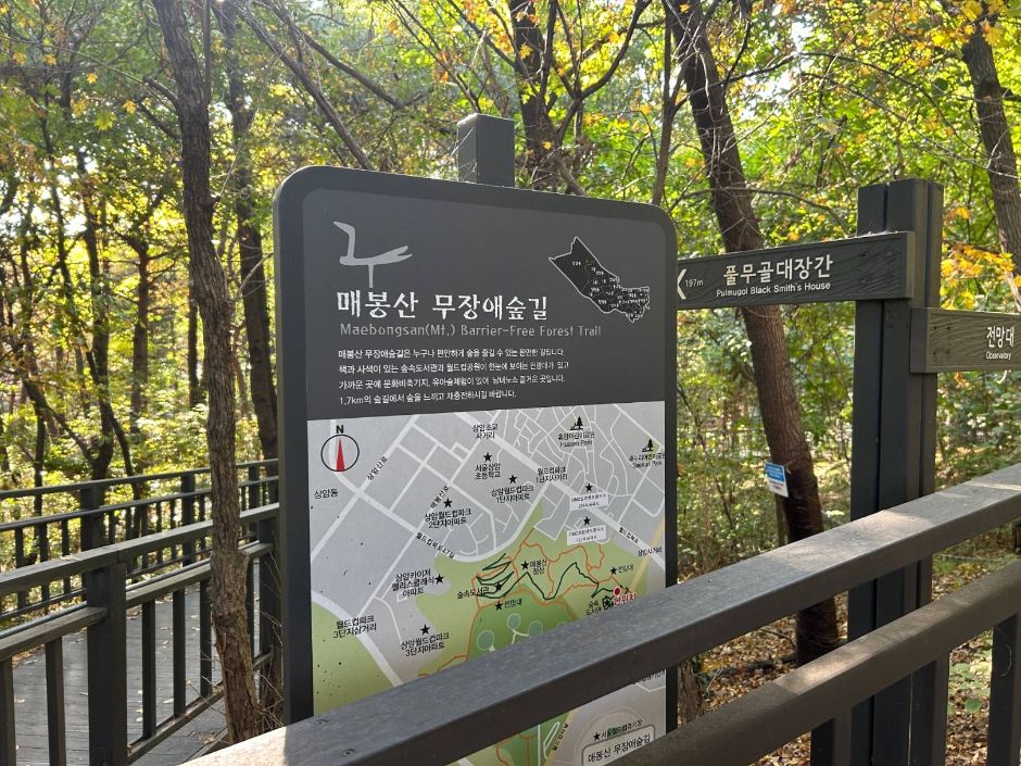 매봉산 무장애 숲길