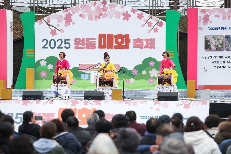 2025 원동매화축제 10