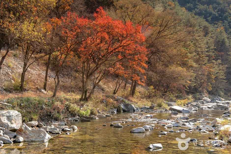 김삿갓 계곡